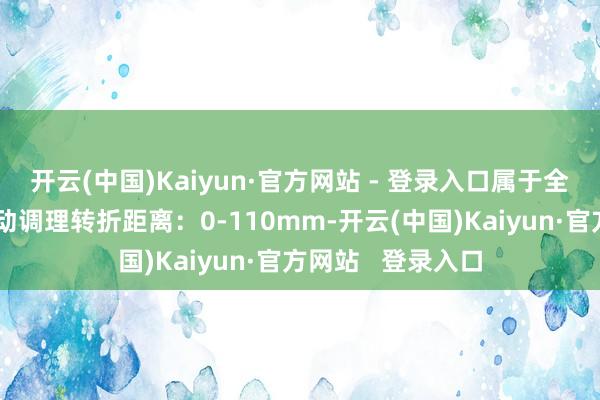 开云(中国)Kaiyun·官方网站 - 登录入口属于全自动测试；全自动调理转折距离：0-110mm-开云(中国)Kaiyun·官方网站   登录入口