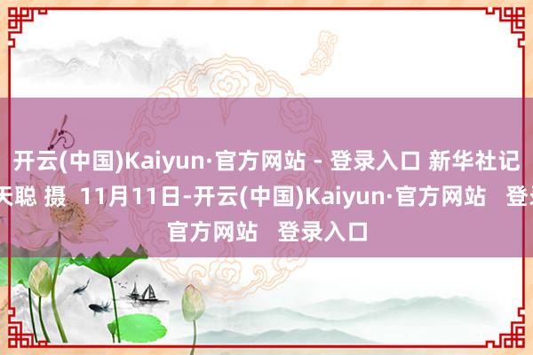 开云(中国)Kaiyun·官方网站 - 登录入口 新华社记者 王天聪 摄  11月11日-开云(中国)Kaiyun·官方网站   登录入口