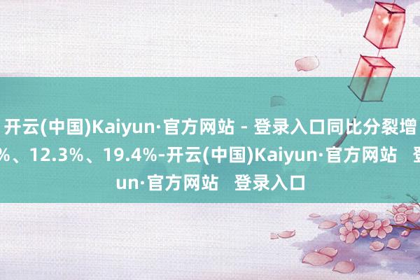 开云(中国)Kaiyun·官方网站 - 登录入口同比分裂增长19.8%、12.3%、19.4%-开云(中国)Kaiyun·官方网站   登录入口
