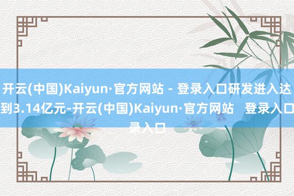 开云(中国)Kaiyun·官方网站 - 登录入口研发进入达到3.14亿元-开云(中国)Kaiyun·官方网站   登录入口