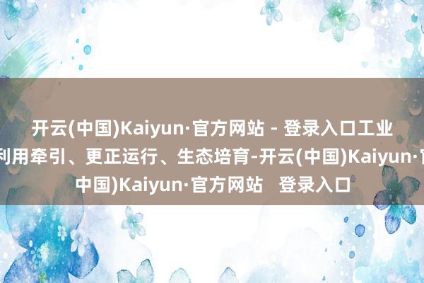 开云(中国)Kaiyun·官方网站 - 登录入口工业和信息化部将坚握利用牵引、更正运行、生态培育-开云(中国)Kaiyun·官方网站 登录入口