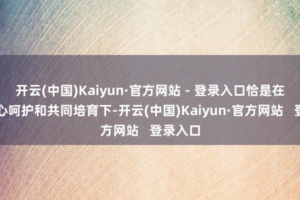 开云(中国)Kaiyun·官方网站 - 登录入口恰是在两边全心呵护和共同培育下-开云(中国)Kaiyun·官方网站   登录入口