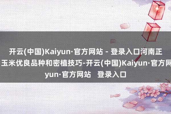 开云(中国)Kaiyun·官方网站 - 登录入口河南正在大面积引申玉米优良品种和密植技巧-开云(中国)Kaiyun·官方网站   登录入口